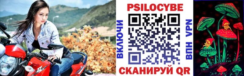 Псилоцибиновые грибы MAGIC MUSHROOMS Сертолово